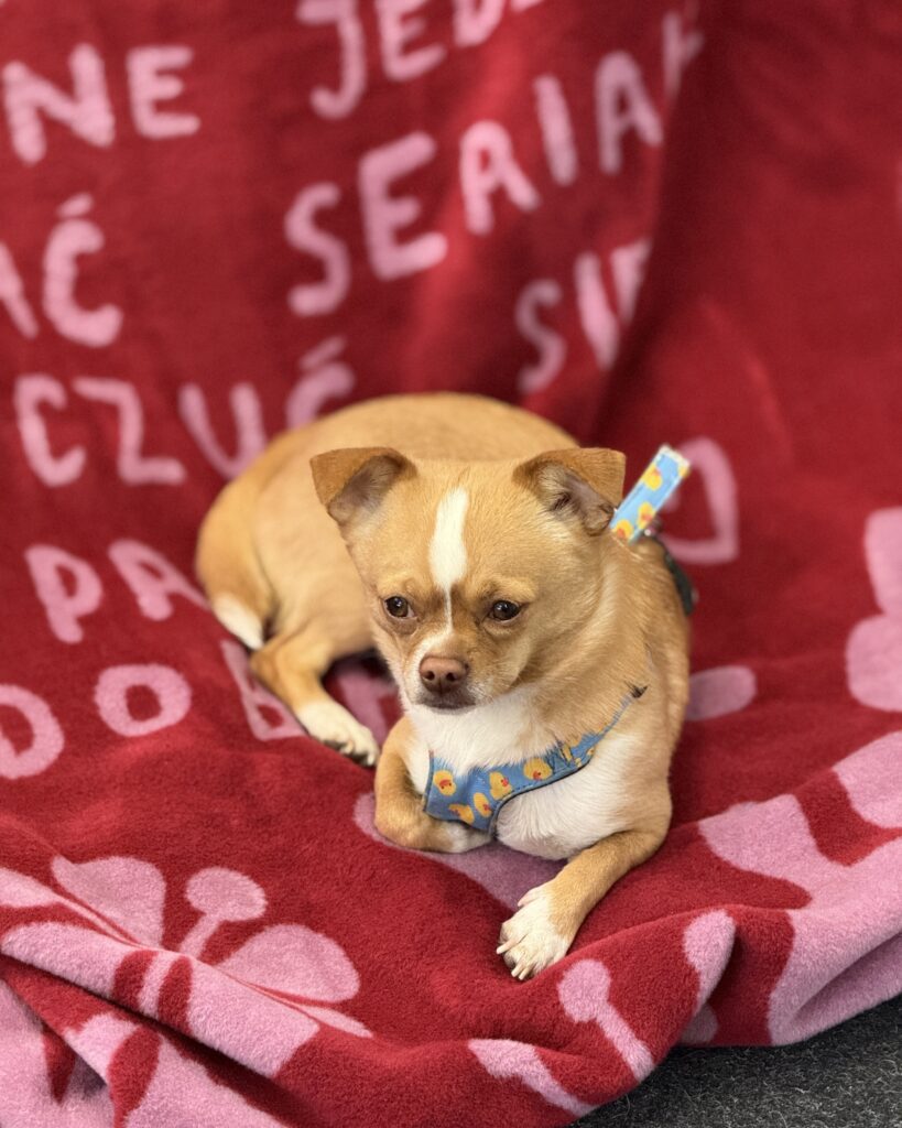 Co w styczniu piszczy... 1 IMG 0575